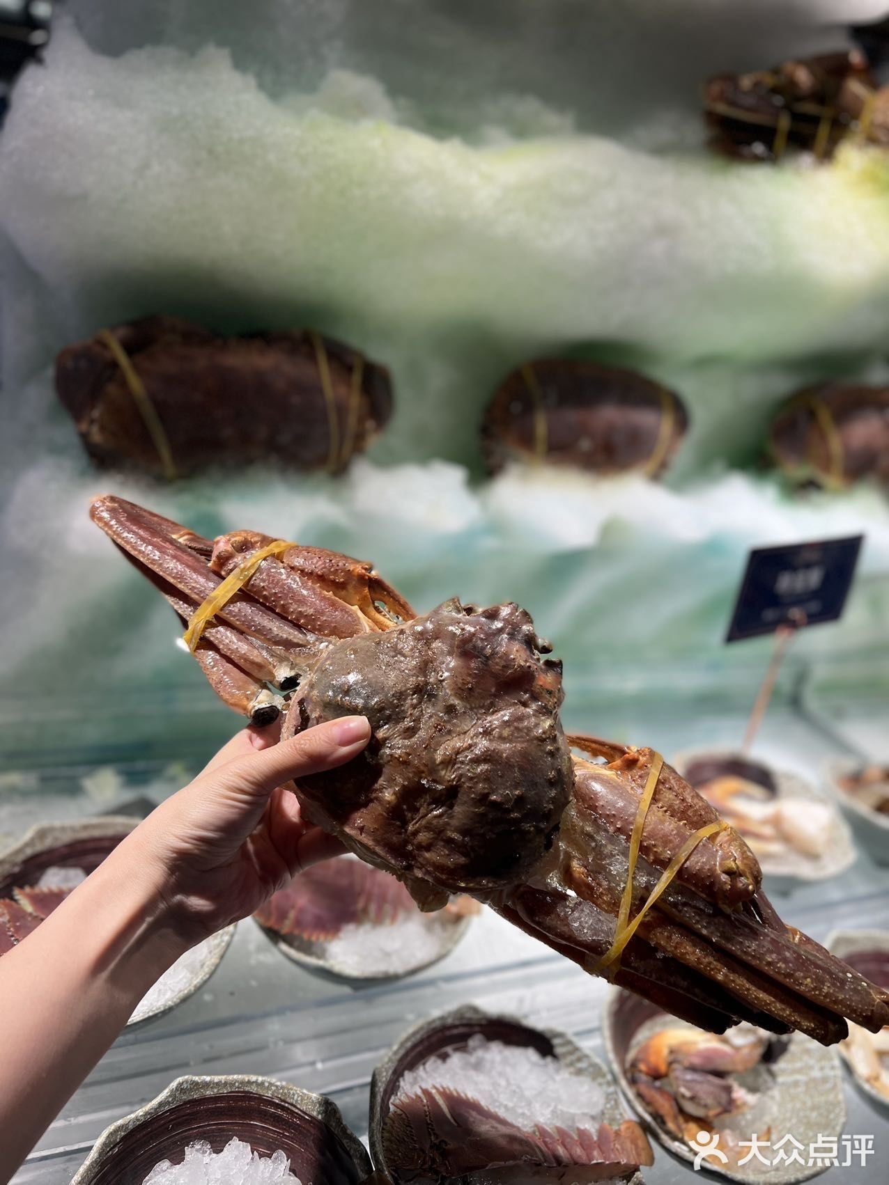 魔都海鲜自助天花板，名贵食材的集会