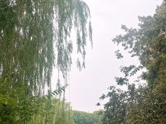 -莲池书院博物馆