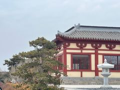 -洛阳古墓博物馆