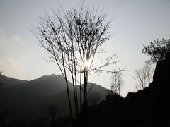 -千岛湖石林