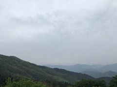 -永州阳明山国家森林公园