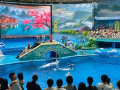 -海合安成都极地海洋公园