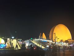 -野狸岛
