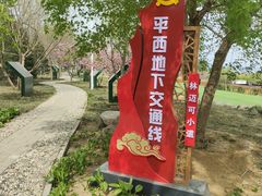 -阳台山自然风景区