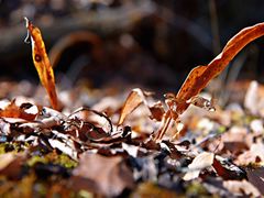 -叠溪松坪沟景区