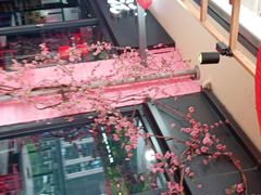 -桃花沅火锅(长嘉汇江景店)