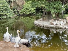 -深圳野生动物园