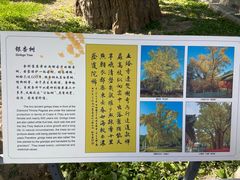 -北京石刻艺术博物馆(五塔寺)