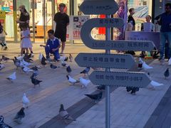 -中航城君尚购物中心