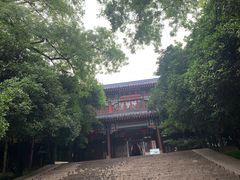 -灵谷景区