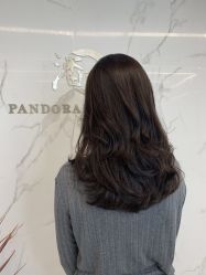 -潘多拉Hairsalon