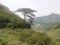 -木兰云雾山