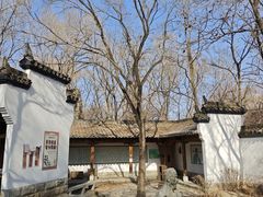 -沈阳植物园
