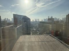 -新加坡乌节希尔顿酒店 (SG Clean)