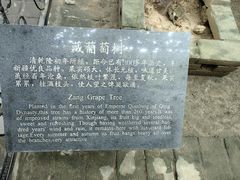 -康百万庄园