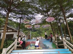 -广州市帽峰山景区