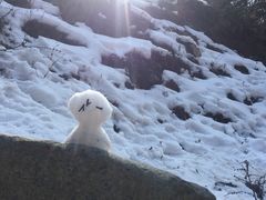 -硗碛藏寨·神木垒景区