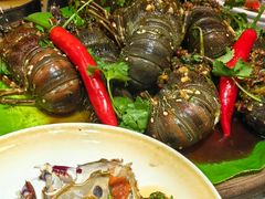 -吴记富苑(朝阳店)