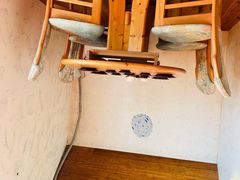 -金山农民画村-枫泾波兰倒置屋