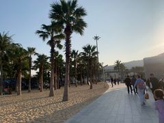 -大梅沙海滨公园