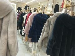-肃宁华斯国际裘皮城