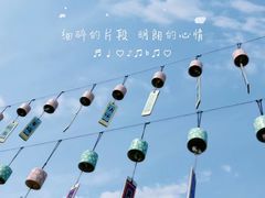 -顾村公园