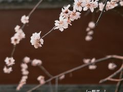 -隆兴寺