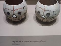 -美国自然历史博物馆