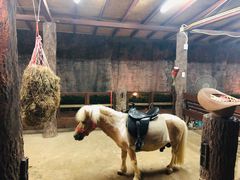 -清迈夜间动物园