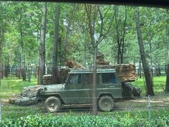 -秦皇岛野生动物园
