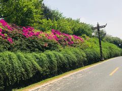 -宜兴龙背山森林公园