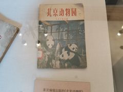 -北京动物园-畅观楼