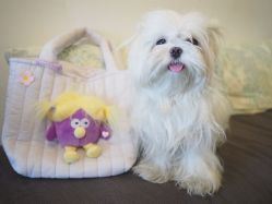 -Y+U遇瑜伽·普拉提