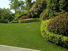 -桃花岛景观公园