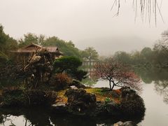 -西湖外事游船(花港观鱼码头)