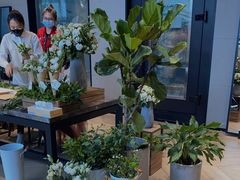 -Canada Goose加拿大鹅(沈阳万象城店)