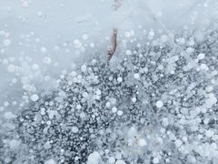 -长春公园(普阳街道)