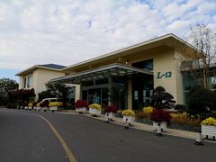 -上海市保健医疗中心