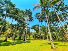-中国科学院西双版纳热带植物园