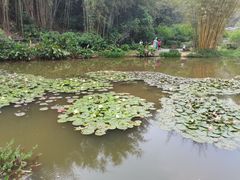 -广州市白云山风景名胜区