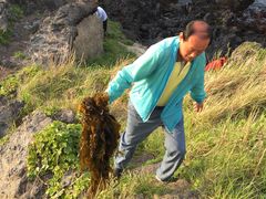 -龙头岩(Dragon Head Rock)