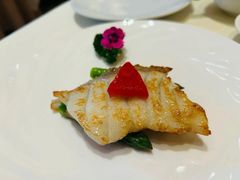 芦笋煎斑球-利苑酒家(华熙国际店)
