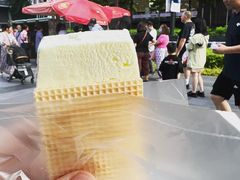 榴莲威化雪糕-詹爷爷乌节路街头冰淇淋