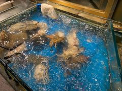 -星伦多自助料理(江阴万达店)