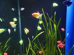 -欢乐海岸海洋奇梦馆