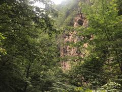 -牛背梁国家森林公园