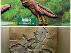 -辽宁古生物博物馆