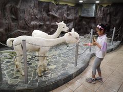-上海大自然野生昆虫馆(东方明珠·爬宠昆虫探索中心)