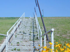 -佛手湖郊野公园