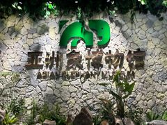 -野象谷景区